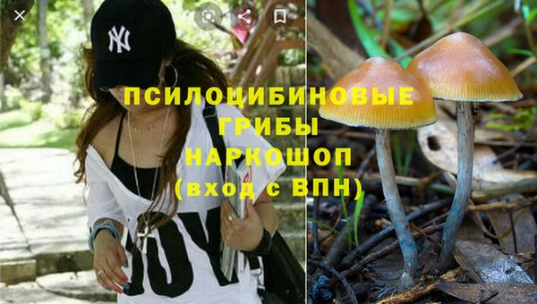 МДПВ Магадан