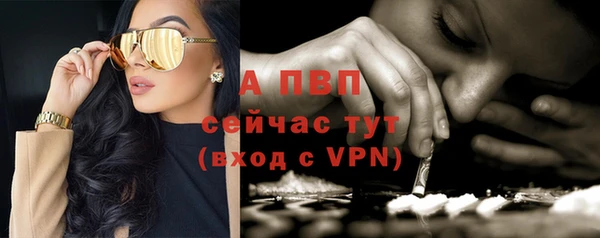 дживик Липки