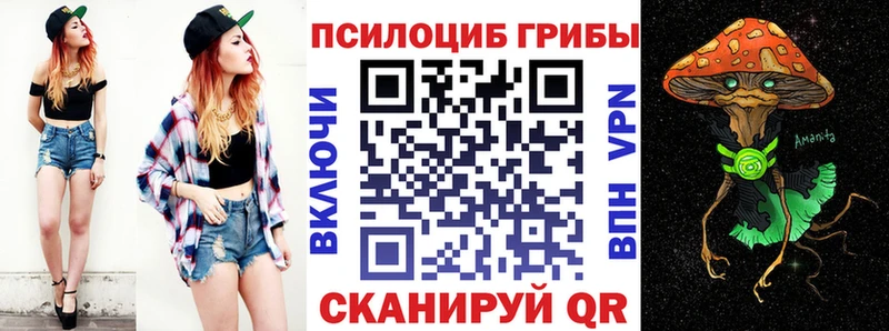 Галлюциногенные грибы GOLDEN TEACHER  Купить закладки  Приозерск 
